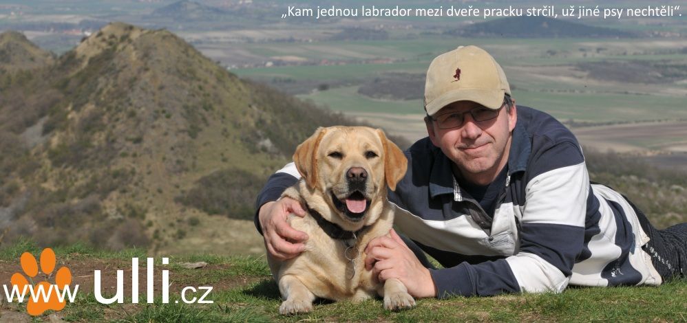 Ulli: Čertovy hlavy u Želíz- procházka nejen s labradory